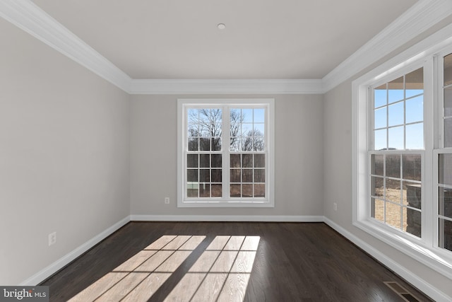 spare room with ornamental molding and dark wood-type flooring