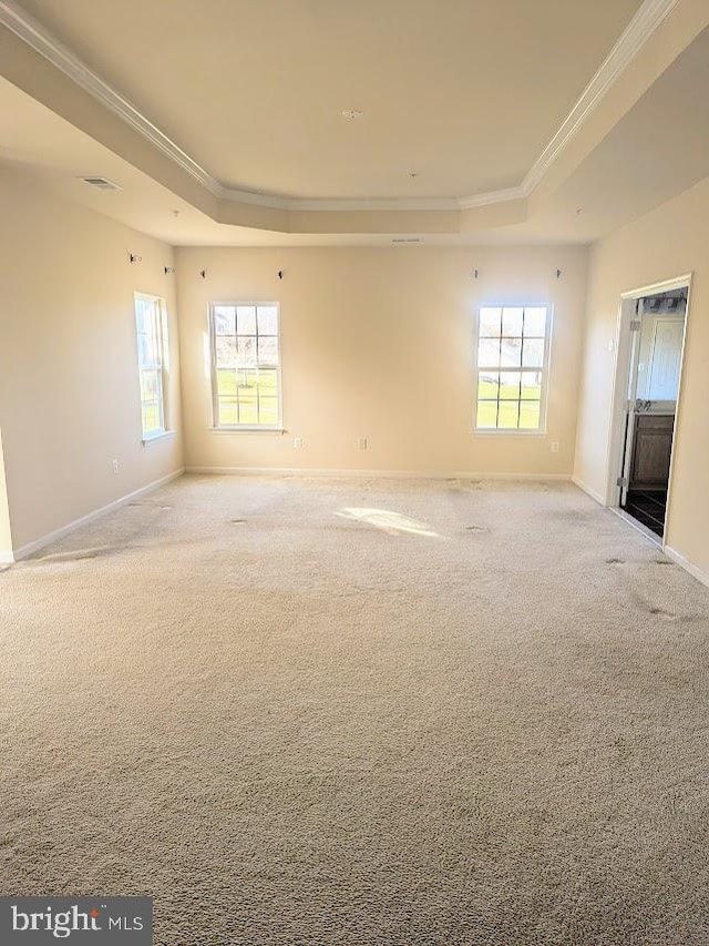 unfurnished room with carpet, ornamental molding, a wealth of natural light, and a tray ceiling