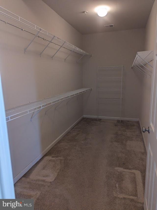 walk in closet with carpet flooring