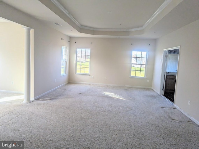 carpeted empty room featuring a raised ceiling, a healthy amount of sunlight, and ornamental molding