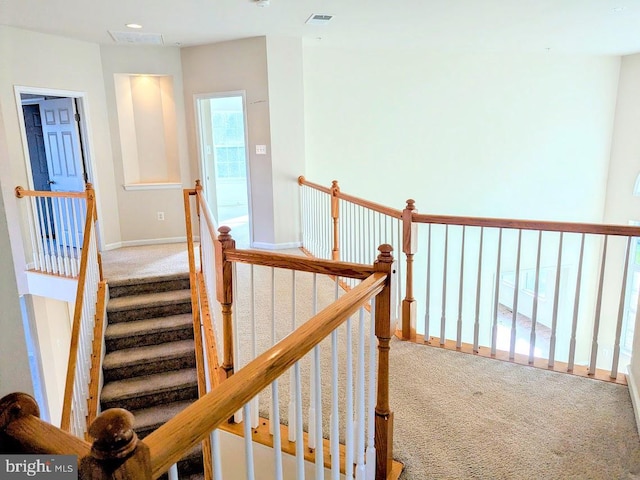 staircase with carpet floors