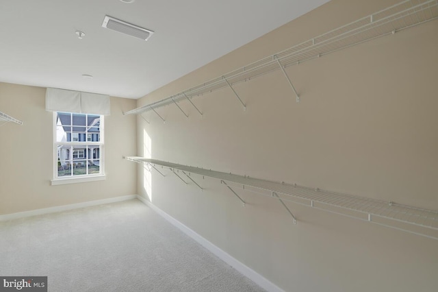 spacious closet with carpet flooring