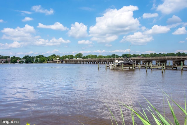 water view featuring a dock