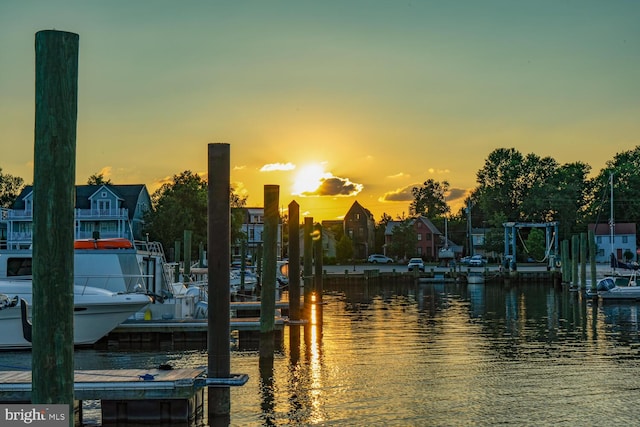 dock area with a water view