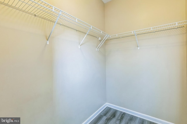 walk in closet with dark wood-type flooring