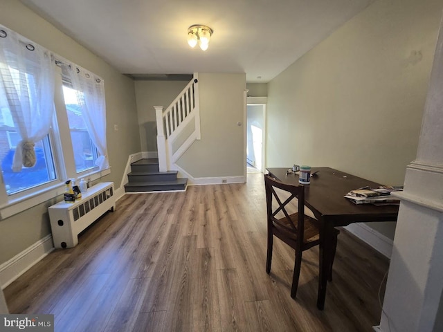 interior space with wood-type flooring