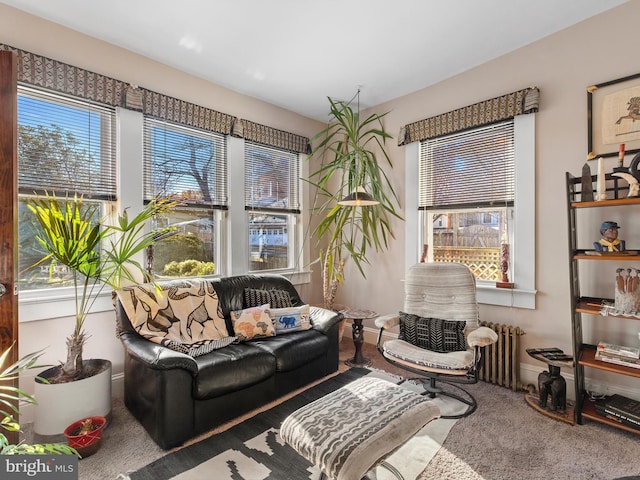 sitting room featuring carpet, radiator heating unit, and a wealth of natural light