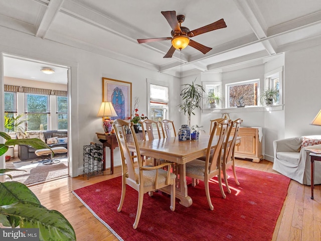 dining space featuring beam ceiling, light wood-type flooring, a wealth of natural light, and coffered ceiling