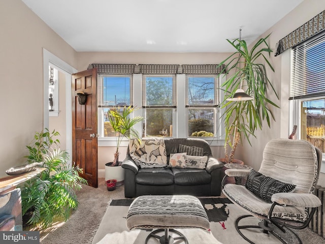 living room featuring carpet