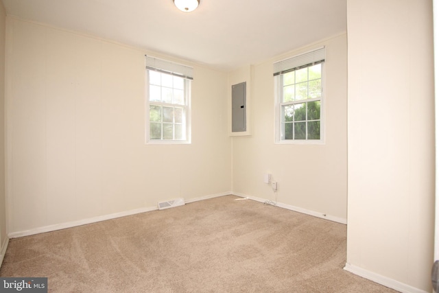 spare room featuring electric panel, light carpet, and plenty of natural light