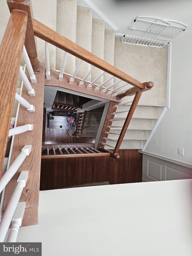 wine cellar featuring a wainscoted wall and a decorative wall