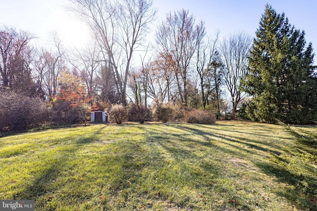 view of yard with a shed