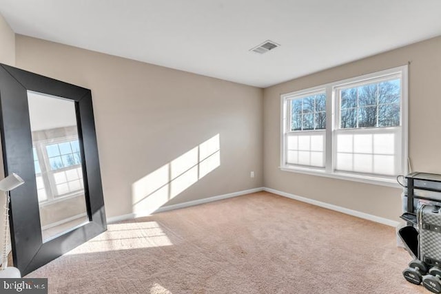 interior space with light carpet