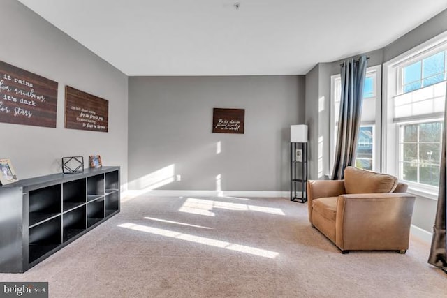 sitting room with light carpet