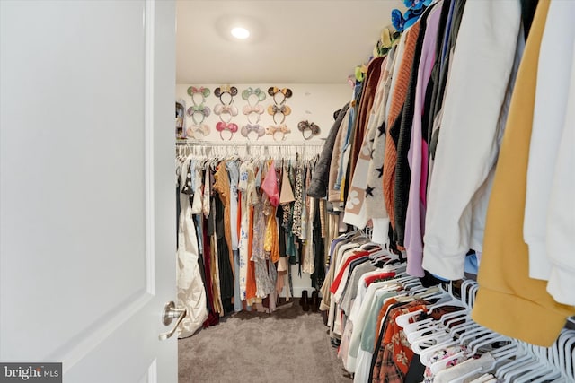 spacious closet featuring light colored carpet