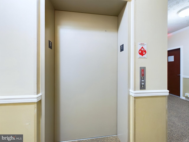 details featuring carpet, elevator, and ornamental molding