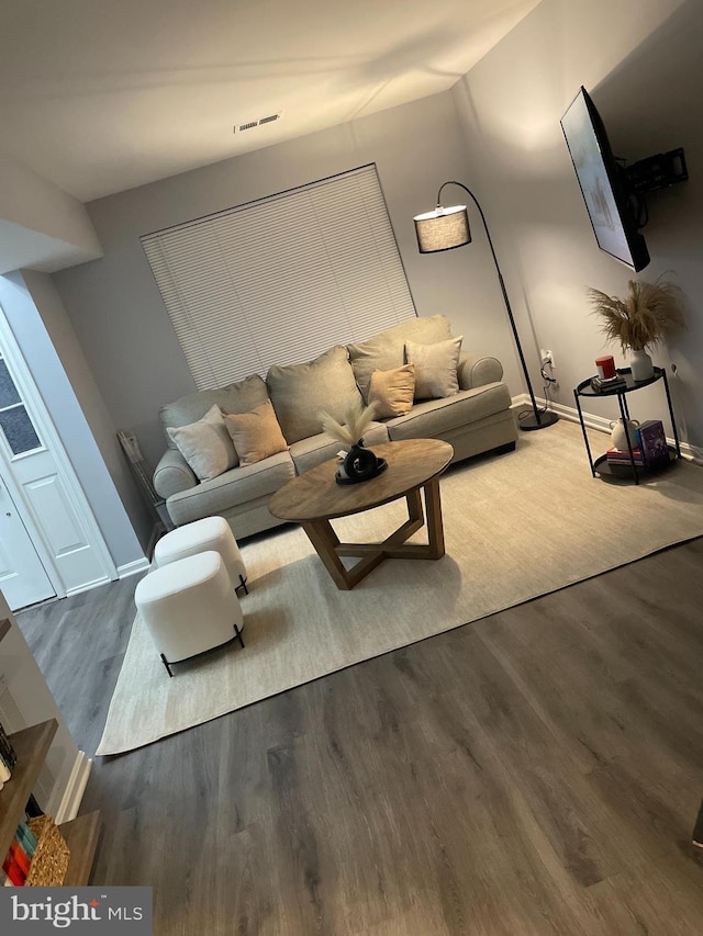 living room featuring wood-type flooring