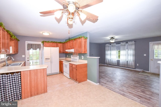 kitchen featuring white appliances, light hardwood / wood-style flooring, a wealth of natural light, and sink