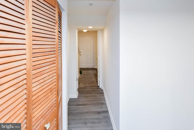 hall featuring hardwood / wood-style floors