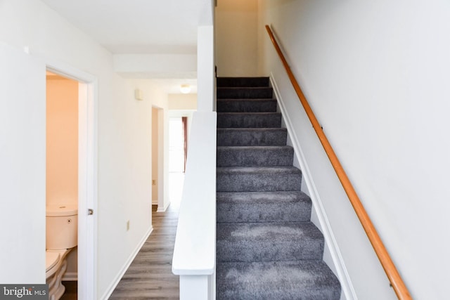 staircase with wood-type flooring