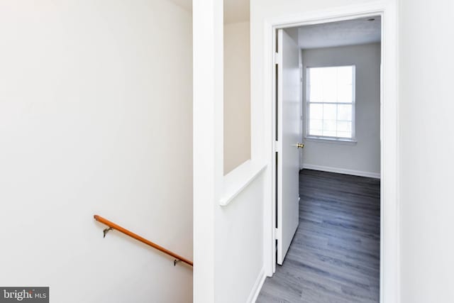 hall featuring wood-type flooring