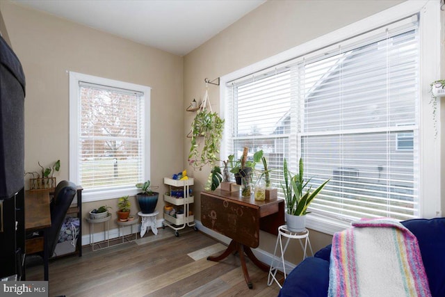 sitting room featuring hardwood / wood-style floors