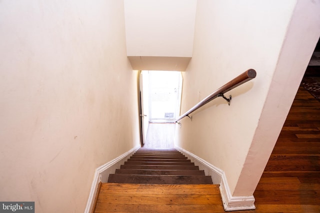 staircase featuring wood-type flooring