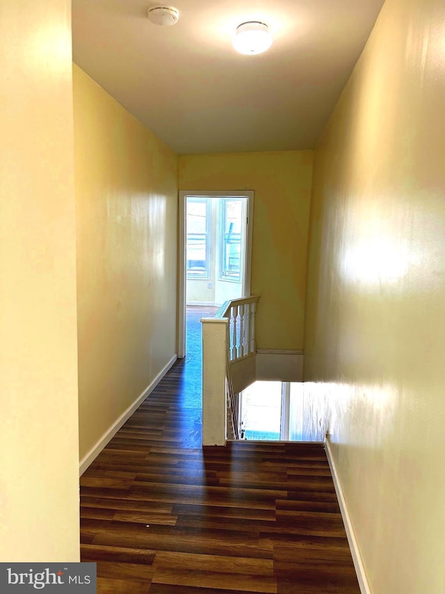 hallway featuring dark hardwood / wood-style floors