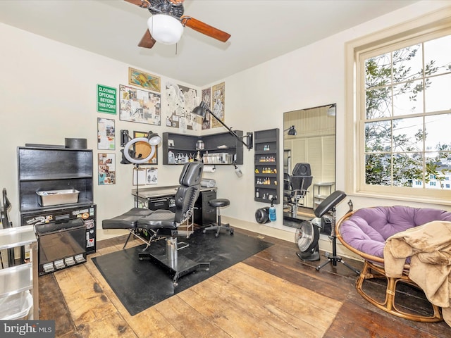 exercise room featuring hardwood / wood-style flooring, ceiling fan, and plenty of natural light