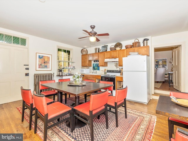 dining area featuring ceiling fan, radiator, and light hardwood / wood-style floors