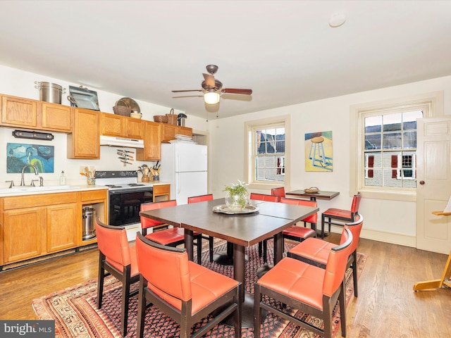 dining room with ceiling fan, light hardwood / wood-style floors, plenty of natural light, and sink