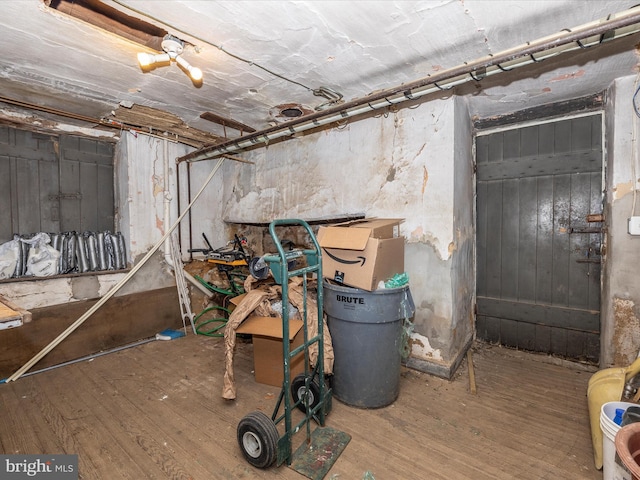 basement featuring hardwood / wood-style flooring