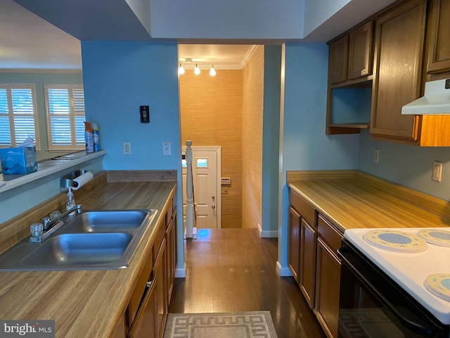 kitchen with dark hardwood / wood-style floors, extractor fan, crown molding, and sink