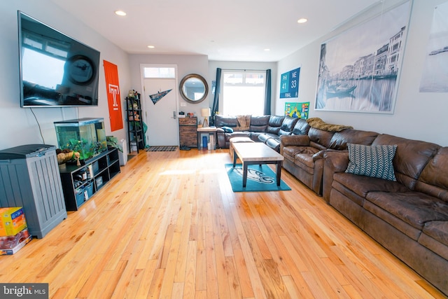 living room with light wood-type flooring