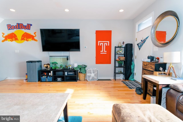 living room featuring hardwood / wood-style flooring