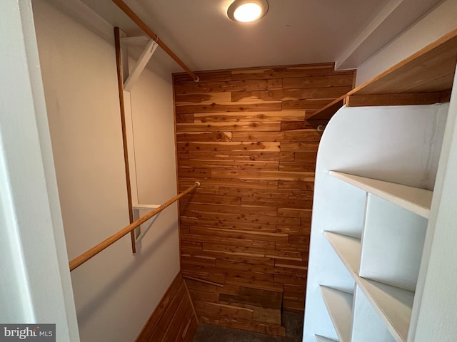 view of walk in closet