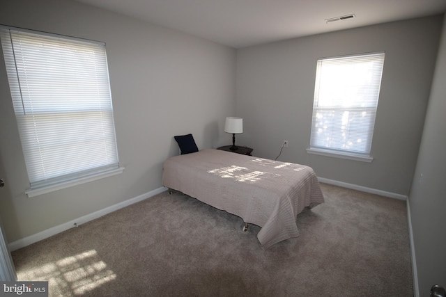 bedroom with carpet floors