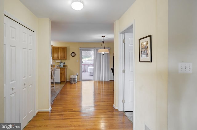 hall featuring light hardwood / wood-style flooring