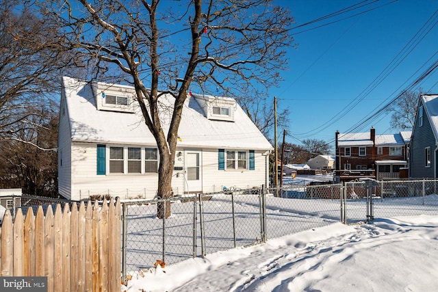 view of cape cod home