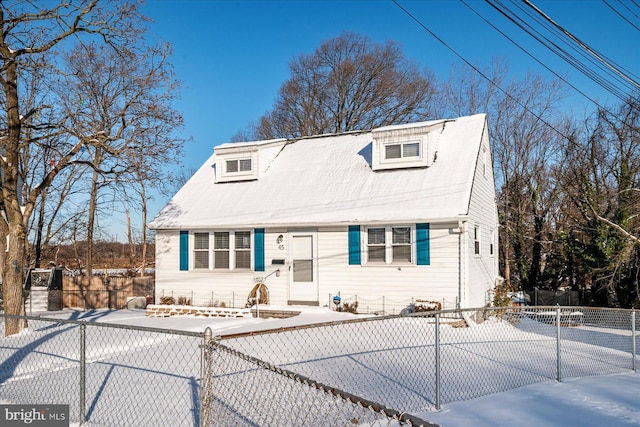 view of cape cod home