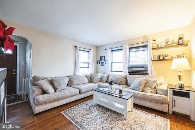 living room with dark wood-type flooring