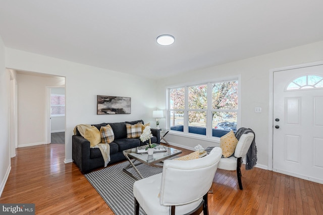 living room with wood-type flooring