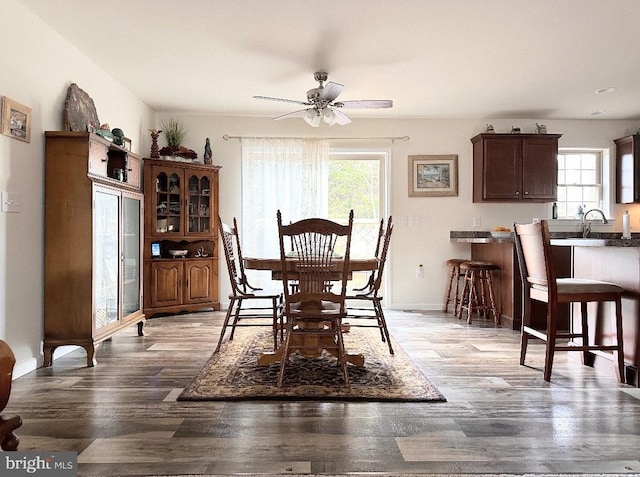 dining area featuring ceiling fan, hardwood / wood-style floors, a healthy amount of sunlight, and sink