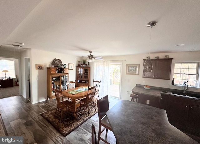 dining area featuring ceiling fan, dark wood-type flooring, and sink