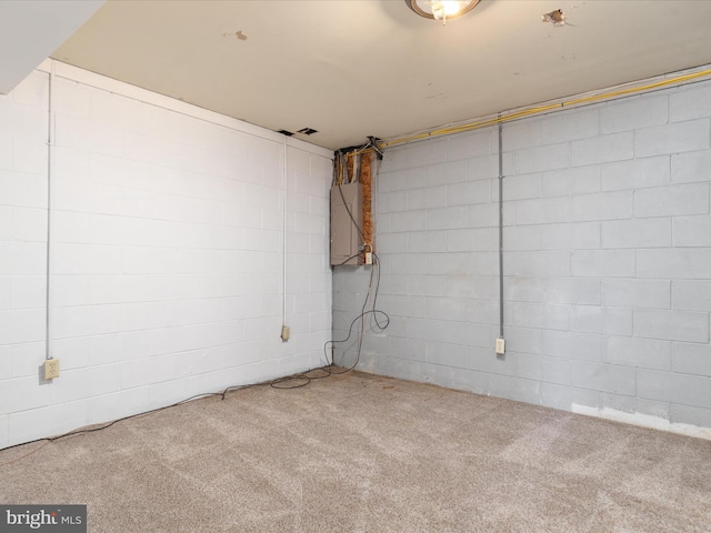 unfinished below grade area featuring concrete block wall and carpet