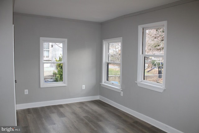 spare room with dark hardwood / wood-style floors and crown molding