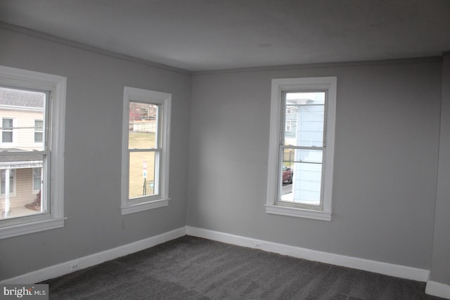 carpeted empty room with ornamental molding and a healthy amount of sunlight