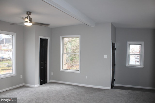 empty room with beamed ceiling, carpet flooring, and ceiling fan