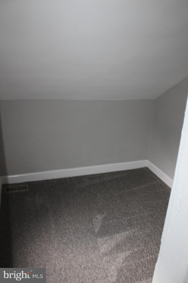 bonus room with dark carpet