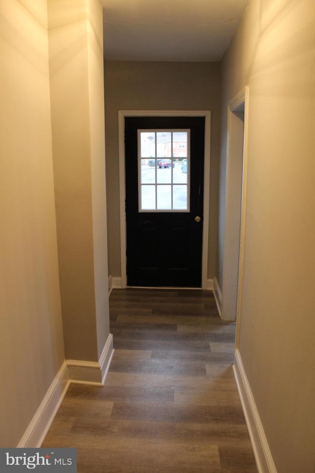 doorway to outside featuring dark hardwood / wood-style flooring